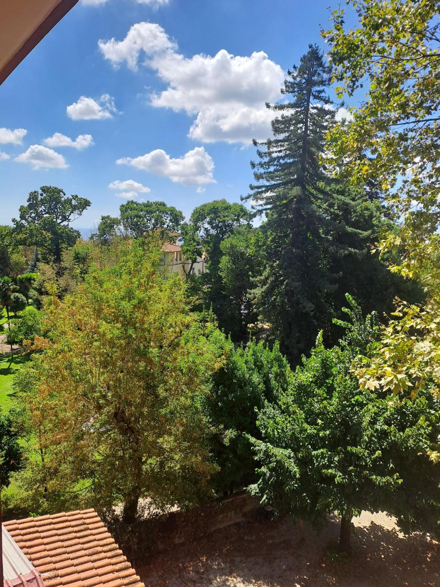 Hotel Villa Robinia Genzano di Roma Buitenkant foto